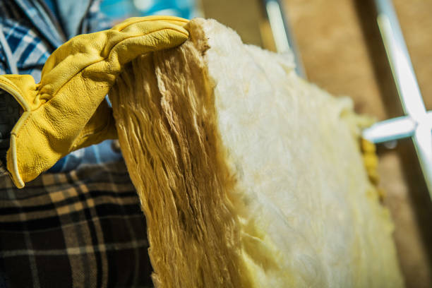 Best Fiberglass Insulation  in Pine Level, AL